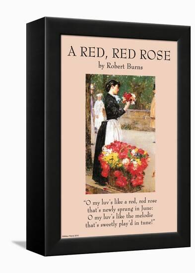 A Red Rose-null-Framed Stretched Canvas