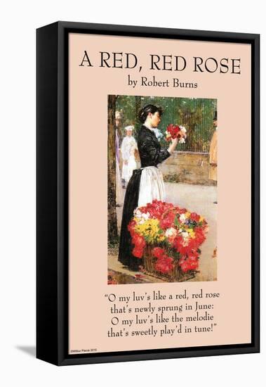 A Red Rose-null-Framed Stretched Canvas