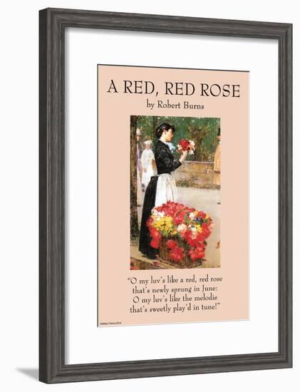 A Red Rose-null-Framed Art Print