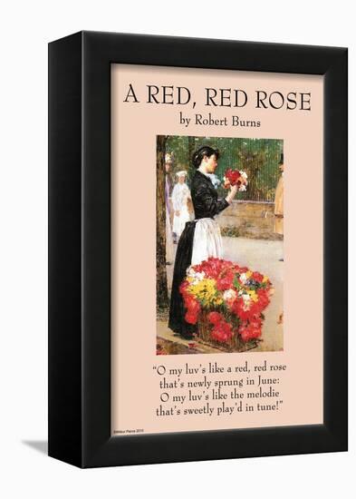 A Red Rose-null-Framed Art Print