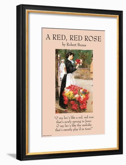 A Red Rose-null-Framed Art Print