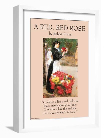 A Red Rose-null-Framed Art Print