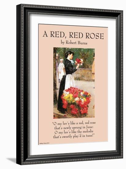 A Red Rose-null-Framed Art Print