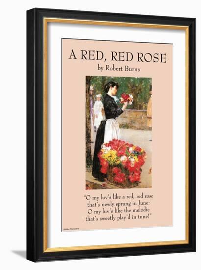 A Red Rose-null-Framed Art Print