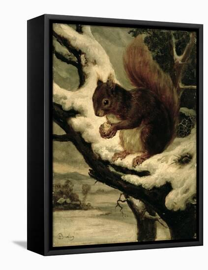 A Red Squirrel Eating a Nut-Basil Bradley-Framed Premier Image Canvas