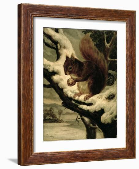 A Red Squirrel Eating a Nut-Basil Bradley-Framed Giclee Print