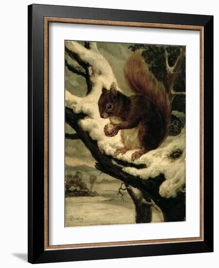 A Red Squirrel Eating a Nut-Basil Bradley-Framed Giclee Print