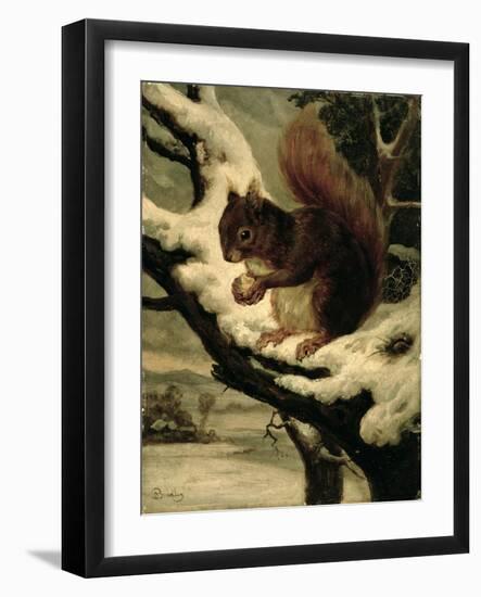 A Red Squirrel Eating a Nut-Basil Bradley-Framed Giclee Print