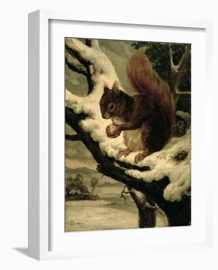 A Red Squirrel Eating a Nut-Basil Bradley-Framed Giclee Print