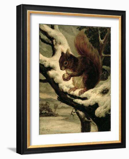 A Red Squirrel Eating a Nut-Basil Bradley-Framed Giclee Print