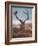 A Red Stag Adorns Himself with Foliage on a Winter Morning in Richmond Park-Alex Saberi-Framed Photographic Print