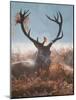A Red Stag Adorns Himself with Foliage on a Winter Morning in Richmond Park-Alex Saberi-Mounted Photographic Print