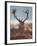 A Red Stag Adorns Himself with Foliage on a Winter Morning in Richmond Park-Alex Saberi-Framed Photographic Print