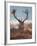 A Red Stag Adorns Himself with Foliage on a Winter Morning in Richmond Park-Alex Saberi-Framed Photographic Print