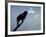 A Red-Winged Blackbird-null-Framed Photographic Print