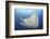 A Reef Manta Ray Swimming in Komodo National Park, Indonesia-Stocktrek Images-Framed Photographic Print