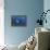 A Reef Manta Ray Swims Past a Coral Reef in the Solomon Islands-Stocktrek Images-Framed Premier Image Canvas displayed on a wall