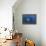 A Reef Manta Ray Swims Past a Coral Reef in the Solomon Islands-Stocktrek Images-Framed Premier Image Canvas displayed on a wall