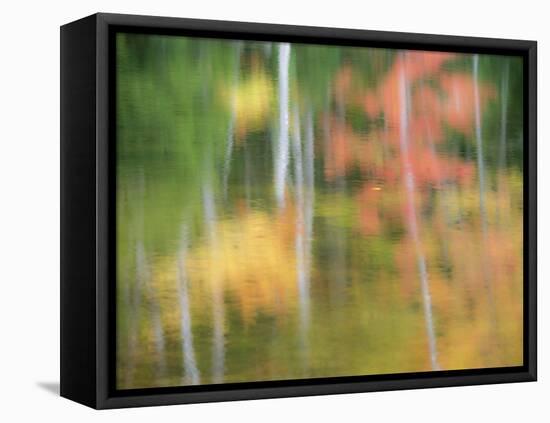 A Reflection of a Panned Motion Blur of Autumn Woodland.-Julianne Eggers-Framed Premier Image Canvas