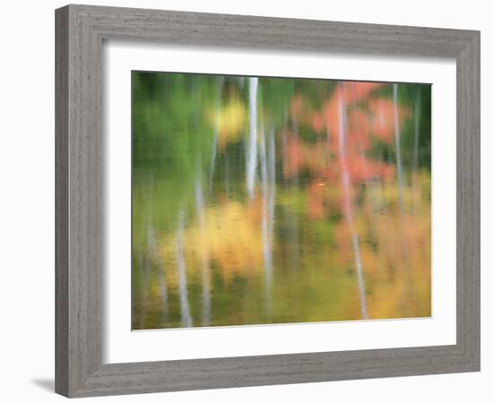 A Reflection of a Panned Motion Blur of Autumn Woodland.-Julianne Eggers-Framed Photographic Print