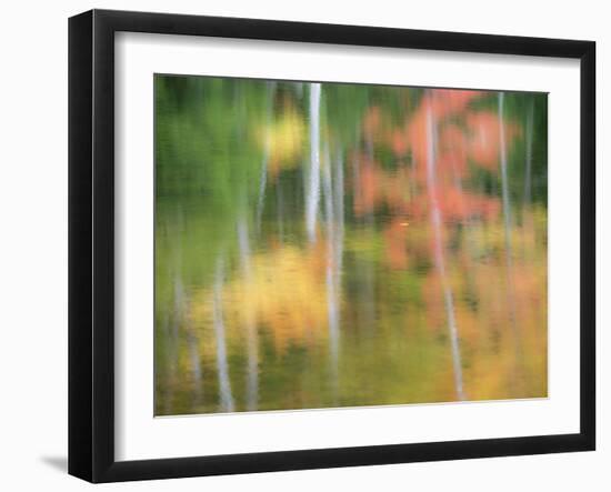 A Reflection of a Panned Motion Blur of Autumn Woodland.-Julianne Eggers-Framed Photographic Print