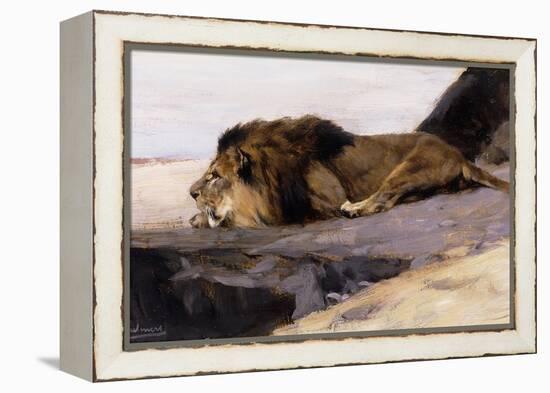 A Resting Lion-Wilhelm Kuhnert-Framed Premier Image Canvas