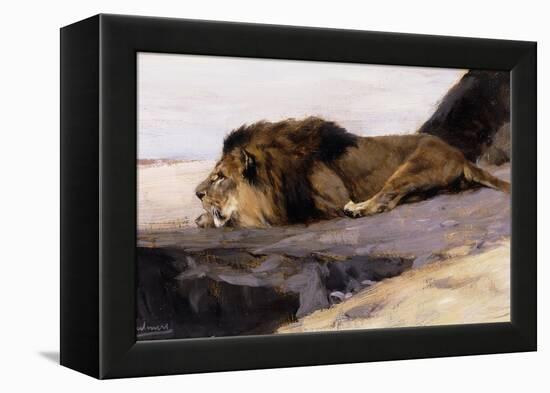 A Resting Lion-Wilhelm Kuhnert-Framed Premier Image Canvas