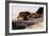 A Resting Lion-Wilhelm Kuhnert-Framed Giclee Print