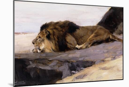 A Resting Lion-Wilhelm Kuhnert-Mounted Giclee Print