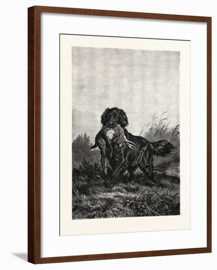 A Retriever, after Deiker, a Type of Gun Dog That Retrieves Game for a Hunter-null-Framed Giclee Print