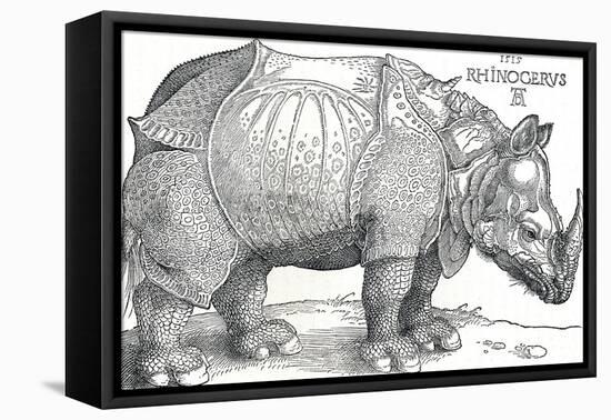 'A Rhinoceros', 1515, (1906)-Albrecht Durer-Framed Premier Image Canvas