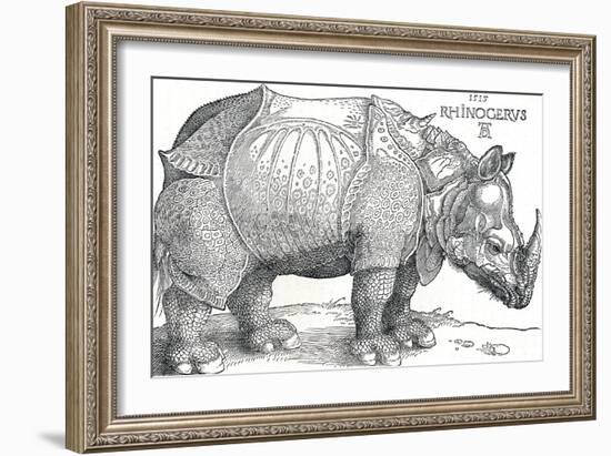 'A Rhinoceros', 1515, (1906)-Albrecht Durer-Framed Giclee Print