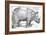 'A Rhinoceros', 1515, (1906)-Albrecht Durer-Framed Giclee Print