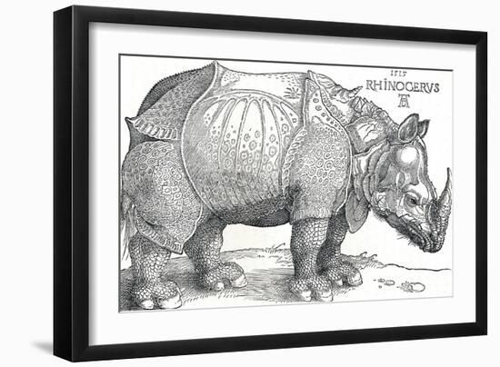 'A Rhinoceros', 1515, (1906)-Albrecht Durer-Framed Giclee Print