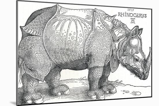 'A Rhinoceros', 1515, (1906)-Albrecht Durer-Mounted Giclee Print