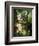 A Rich Still Life of Summer Flowers-Jan van Os-Framed Giclee Print