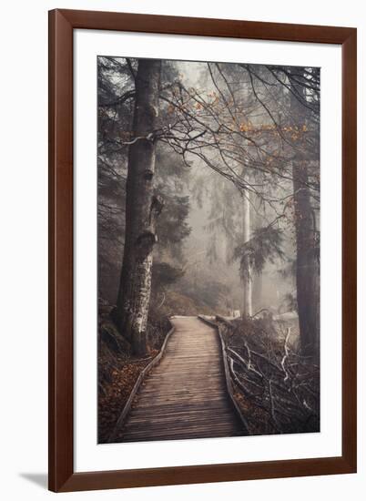A Ride in the Woods-Philippe Sainte-Laudy-Framed Photographic Print