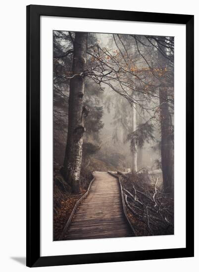 A Ride in the Woods-Philippe Sainte-Laudy-Framed Photographic Print