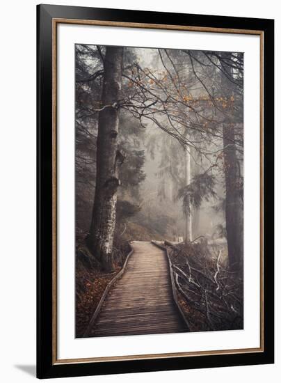 A Ride in the Woods-Philippe Sainte-Laudy-Framed Photographic Print