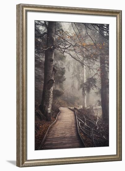 A Ride in the Woods-Philippe Sainte-Laudy-Framed Photographic Print