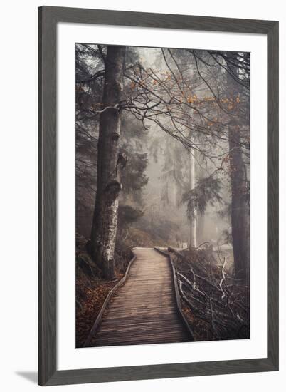 A Ride in the Woods-Philippe Sainte-Laudy-Framed Photographic Print