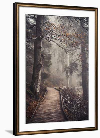 A Ride in the Woods-Philippe Sainte-Laudy-Framed Photographic Print