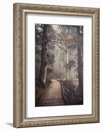 A Ride in the Woods-Philippe Sainte-Laudy-Framed Photographic Print