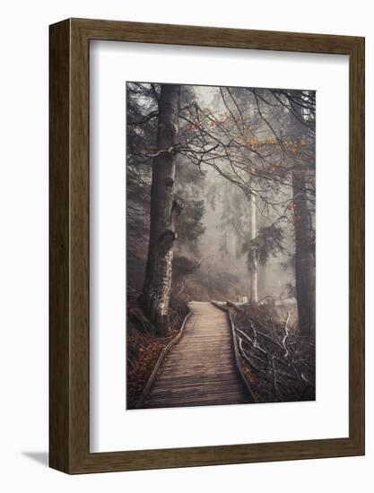 A Ride in the Woods-Philippe Sainte-Laudy-Framed Photographic Print