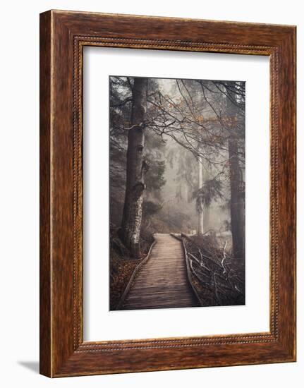 A Ride in the Woods-Philippe Sainte-Laudy-Framed Photographic Print