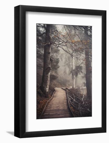 A Ride in the Woods-Philippe Sainte-Laudy-Framed Photographic Print