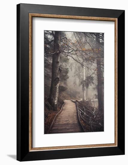 A Ride in the Woods-Philippe Sainte-Laudy-Framed Photographic Print