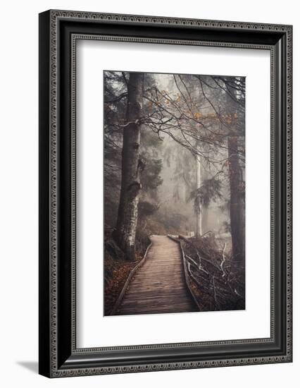 A Ride in the Woods-Philippe Sainte-Laudy-Framed Photographic Print