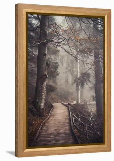 A Ride in the Woods-Philippe Sainte-Laudy-Framed Premier Image Canvas