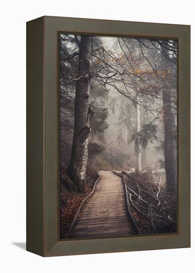 A Ride in the Woods-Philippe Sainte-Laudy-Framed Premier Image Canvas